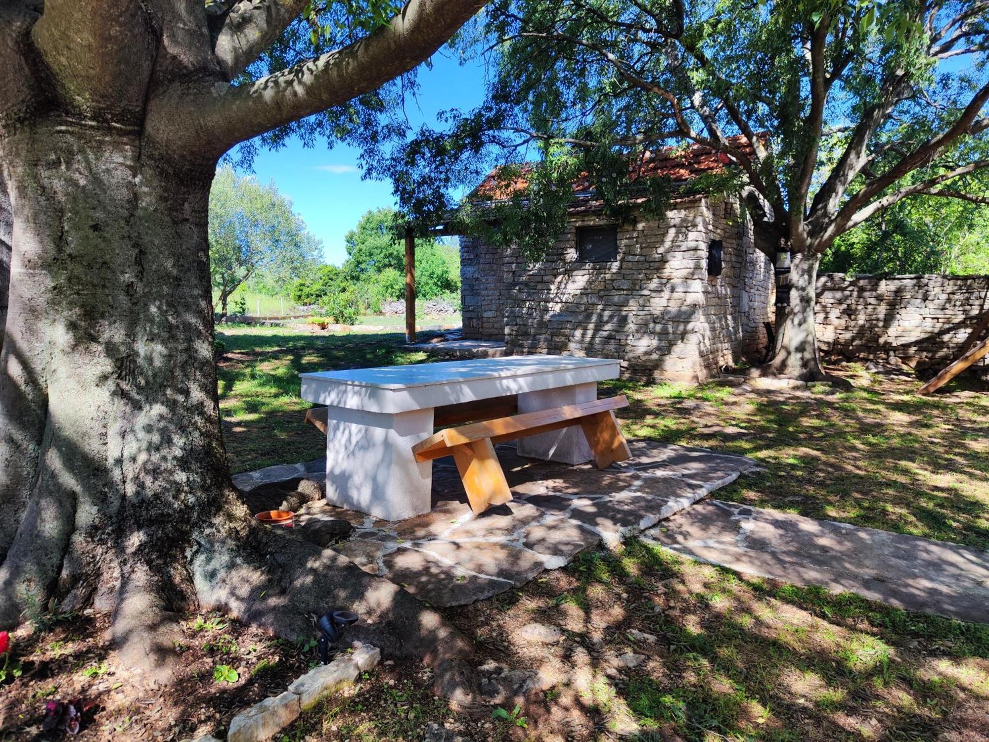 Kuca Dida Jure Villa Pridraga Luaran gambar